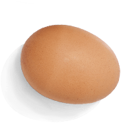 яйцо